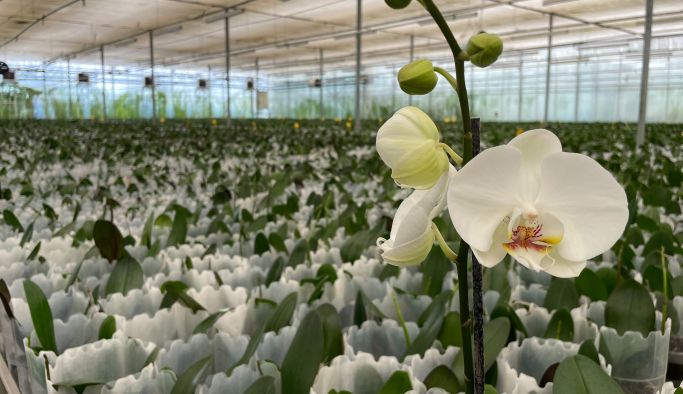 KAYMAKAM ODABAŞ’TAN EDREMİT TDİOSB’DE YATIRIMA DAVET