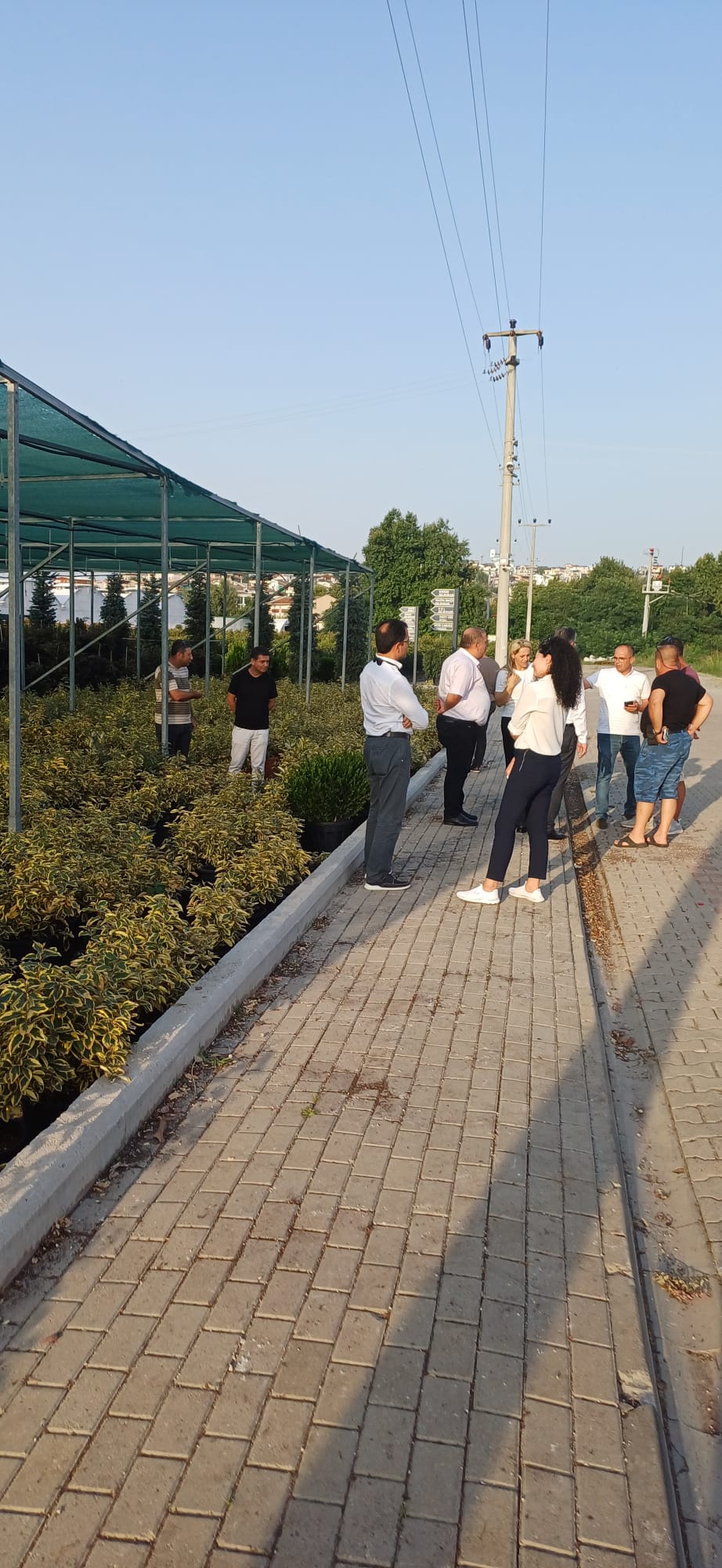 EDREMİT TDİOSB’DEN  SÜS BİTKİLERİ ÜRETİCİLERİNE ZİYARET